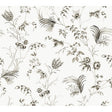 KRAVET DESIGN KRAVET DESIGN W4415.8.0 in W4415-8 Wallpaper -