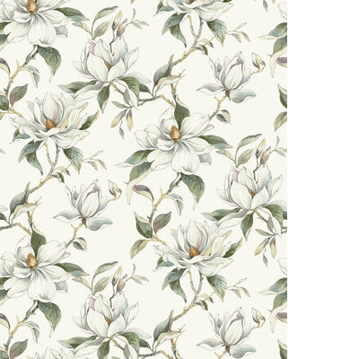 KRAVET DESIGN KRAVET DESIGN W4458.1.0 in W4458-1 Wallpaper -