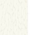 KRAVET DESIGN KRAVET DESIGN W4463.1.0 in W4463-1 Wallpaper -