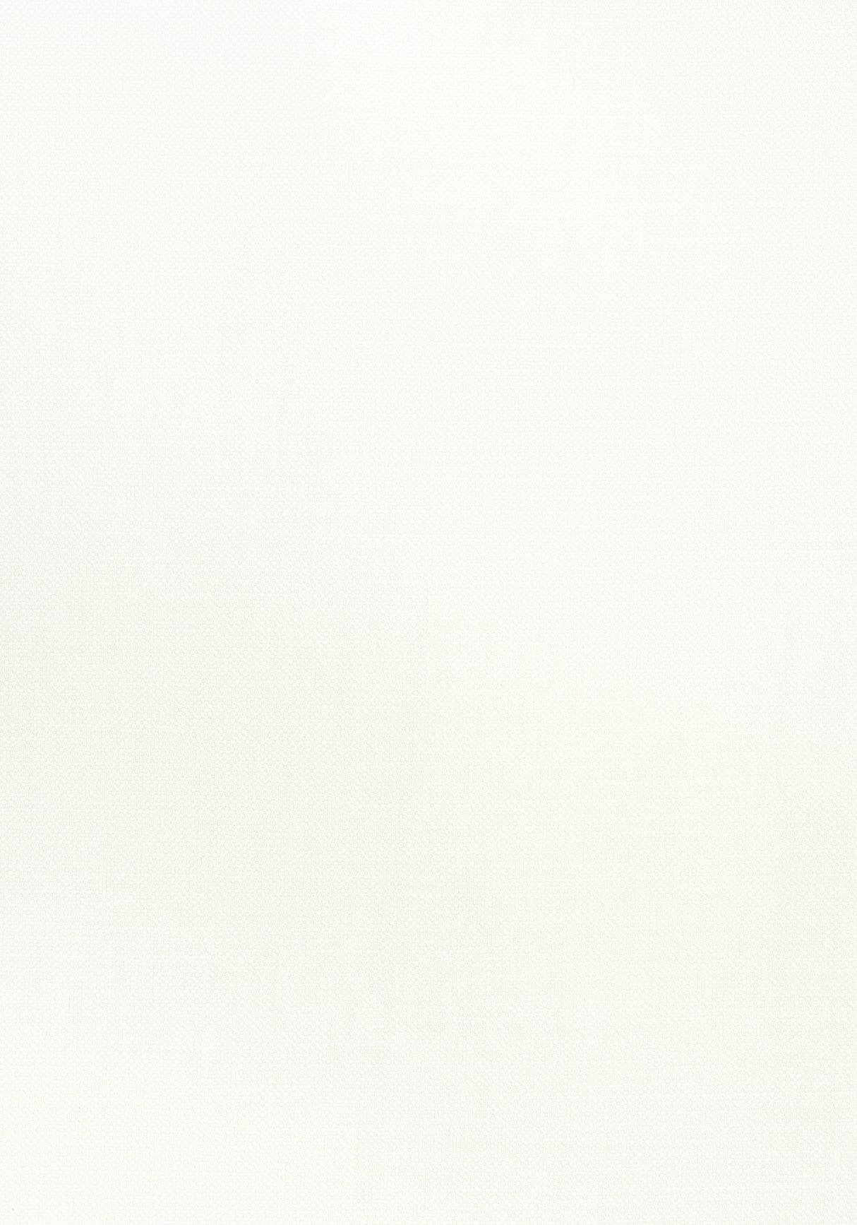 Thibaut W70101 PRISMA Snow White Fabric