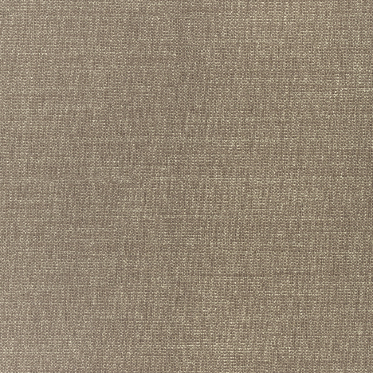 Thibaut W70109 PRISMA Fawn Fabric