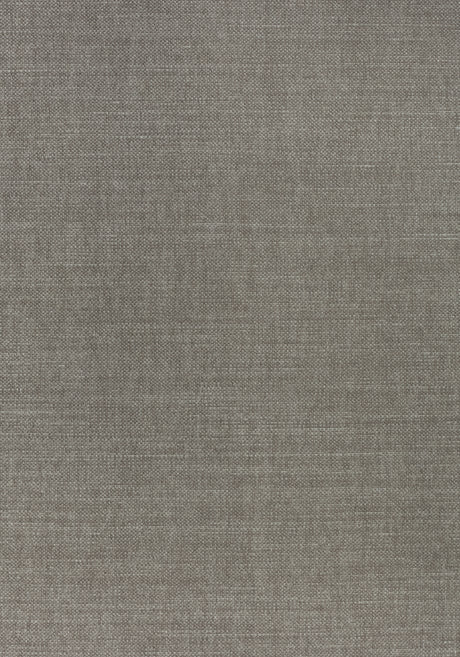 Thibaut W70112 PRISMA Mink Fabric