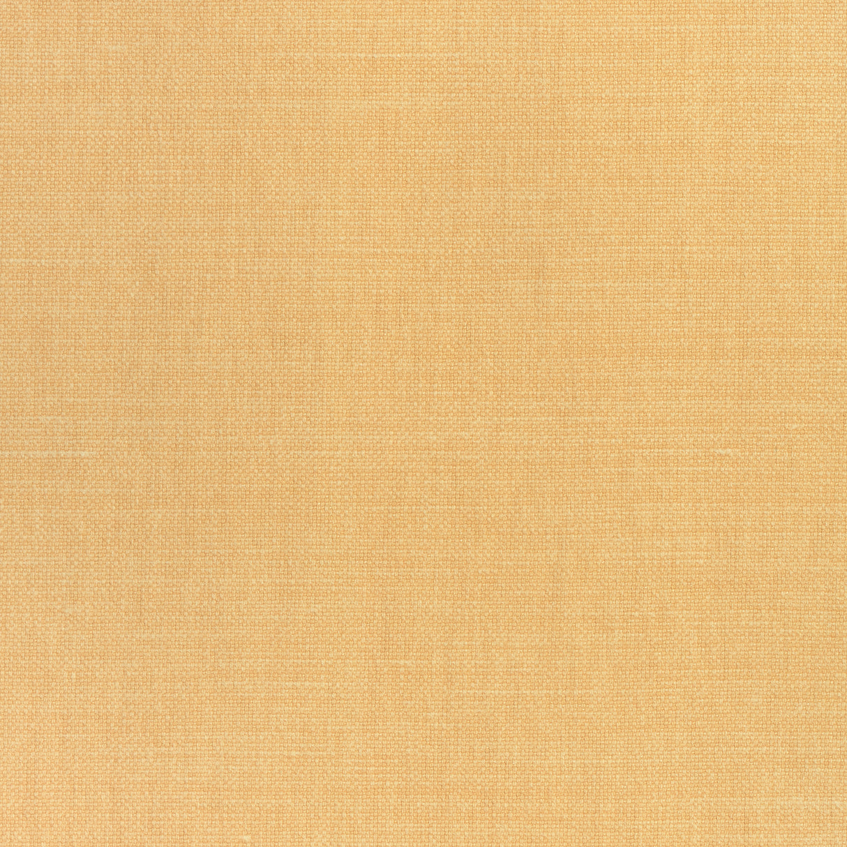 Thibaut W70123 PRISMA Melon Fabric