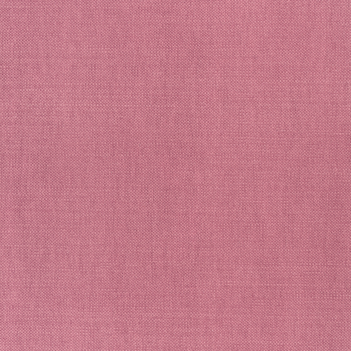 Thibaut W70132 PRISMA Peony Fabric