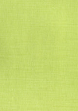 Thibaut W70139 PRISMA Spring Green Fabric