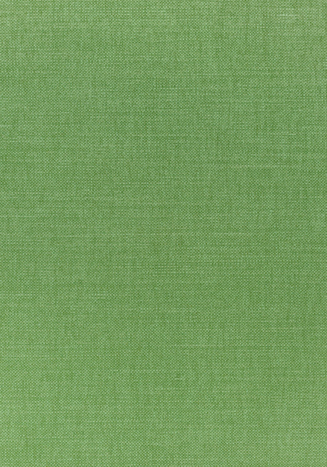 Thibaut W70140 PRISMA Grass Fabric