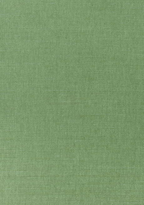 Thibaut W70141 PRISMA Fern Fabric