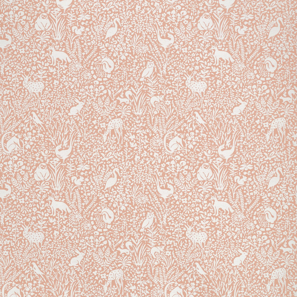 Thibaut KINDRED W711110 in Apricot Fabric - ACADIA
