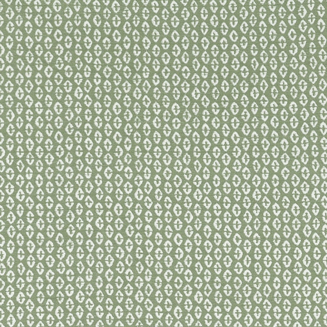 Thibaut PERRY W711140 in Aloe Fabric - ACADIA