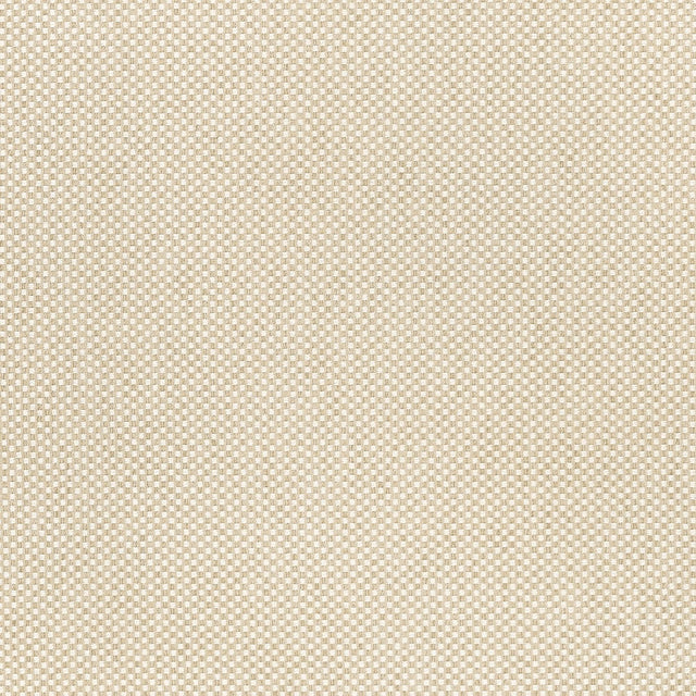 Thibaut OLIN W711217 in Sahara Fabric - SIGNATURE TEXTURES