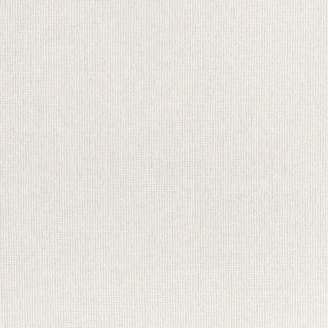 Thibaut CADIE W711221 in Oatmeal Fabric - SIGNATURE TEXTURES