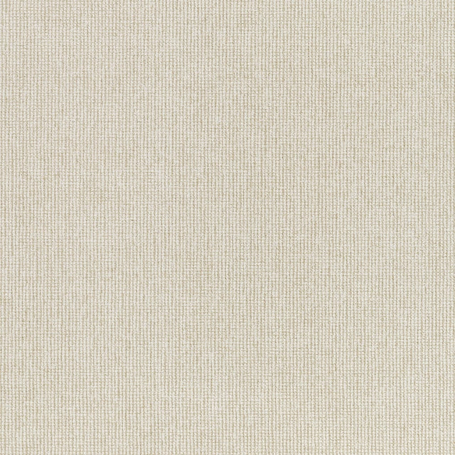 Thibaut CADIE W711222 in Grain Fabric - SIGNATURE TEXTURES