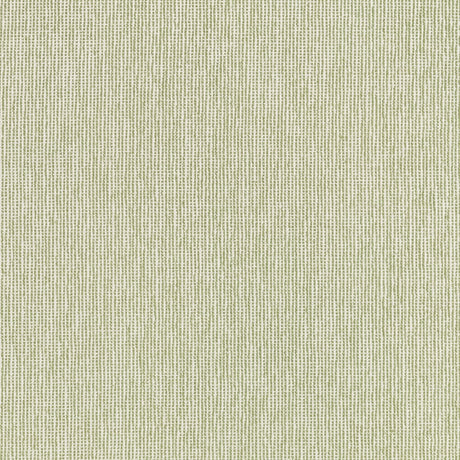 Thibaut CADIE W711223 in Moss Fabric - SIGNATURE TEXTURES