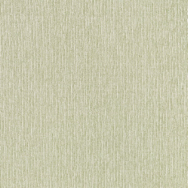 Thibaut CADIE W711223 in Moss Fabric - SIGNATURE TEXTURES