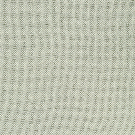 Thibaut BIZETTE W711244 in Moss Fabric - SIGNATURE TEXTURES