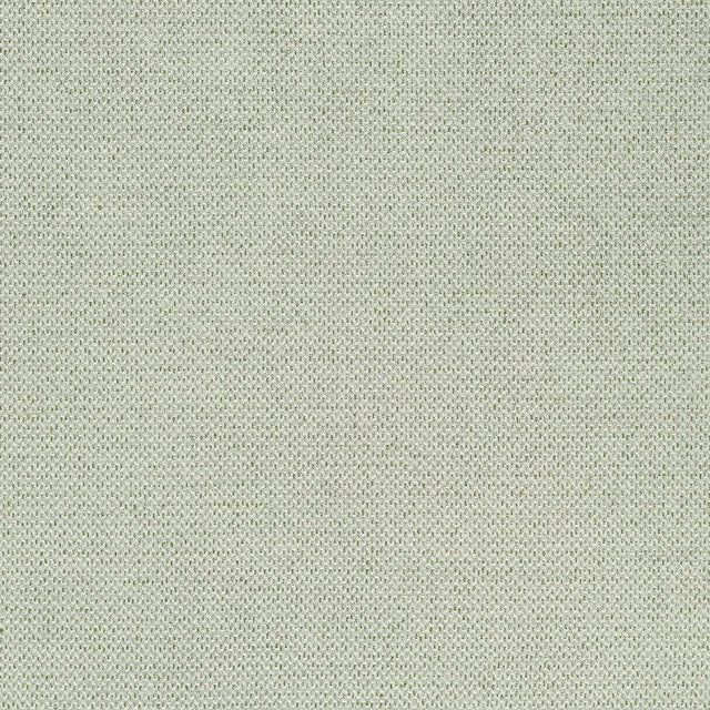Thibaut BIZETTE W711244 in Moss Fabric - SIGNATURE TEXTURES
