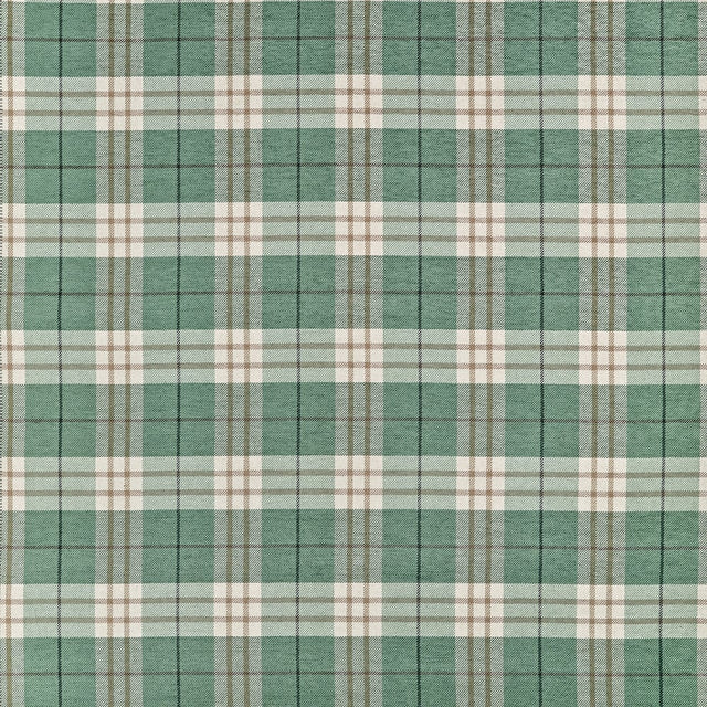 Thibaut PERCIVAL PLAID W711328 in Pine Fabric - SAVILE