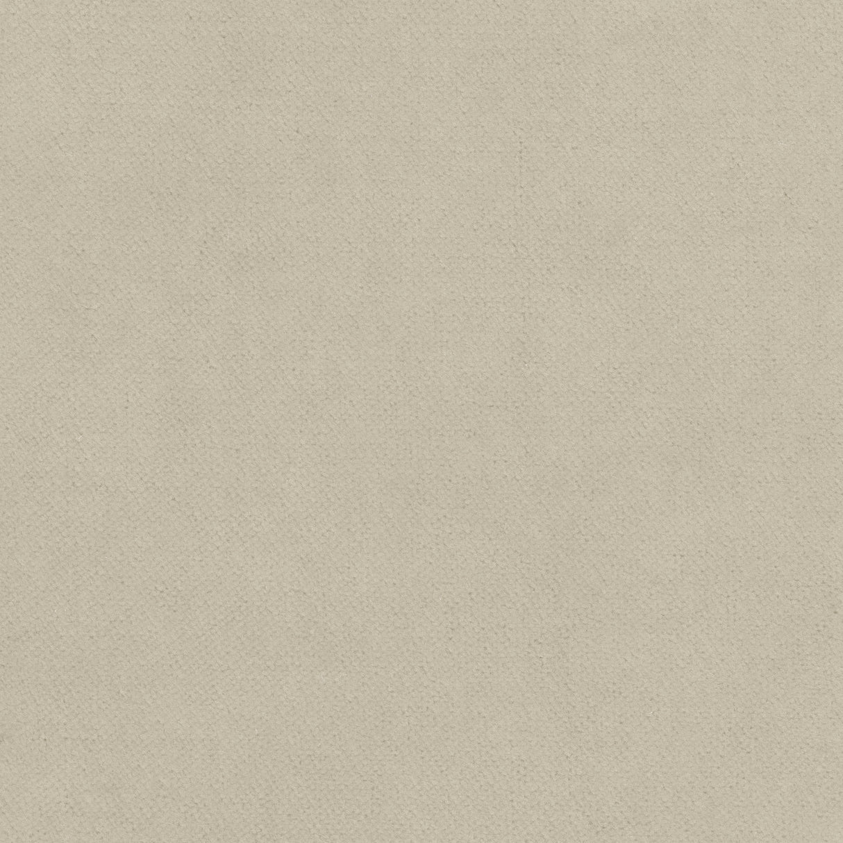 Thibaut W7222 CLUB VELVET Oyster Fabric