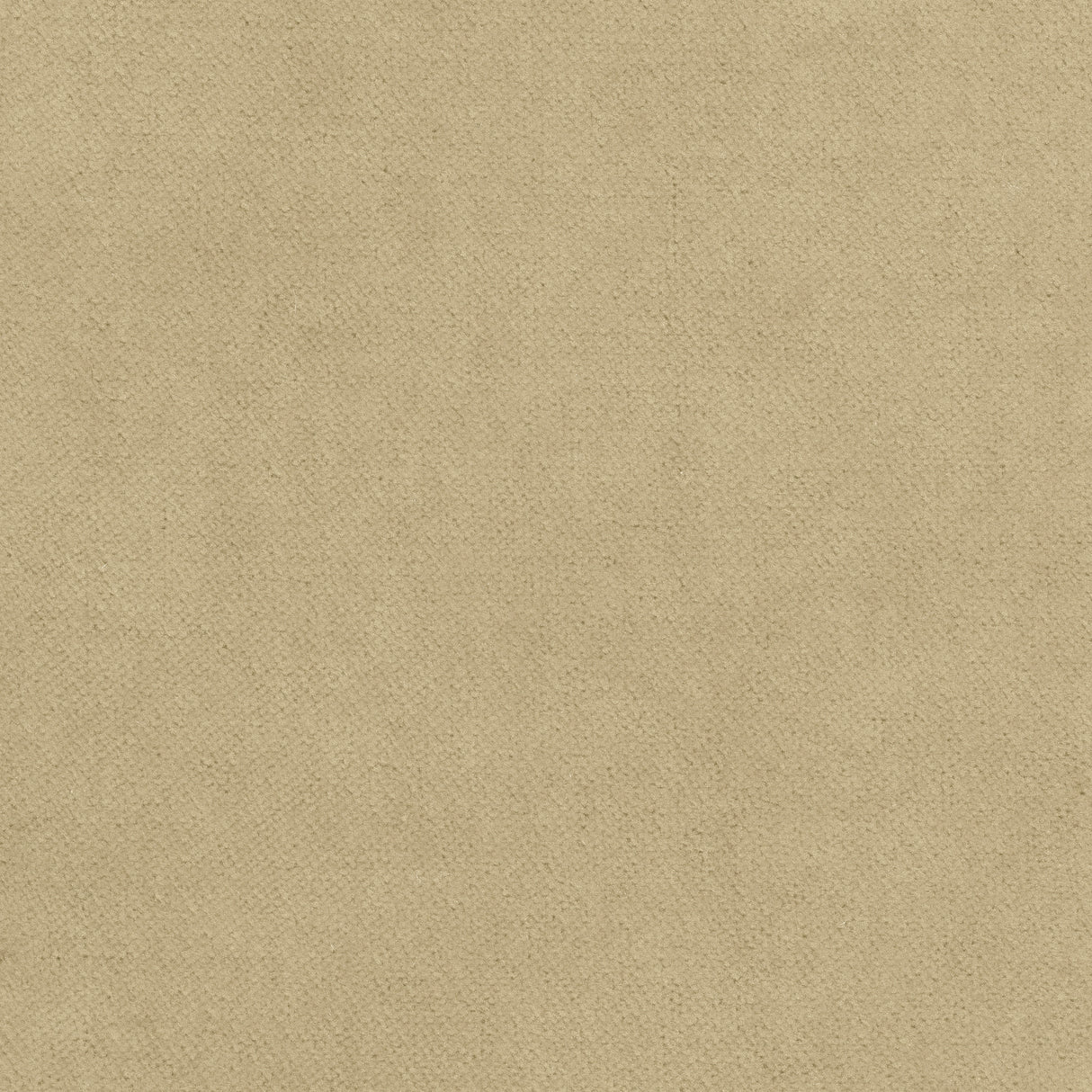 Thibaut W7223 CLUB VELVET Fawn Fabric