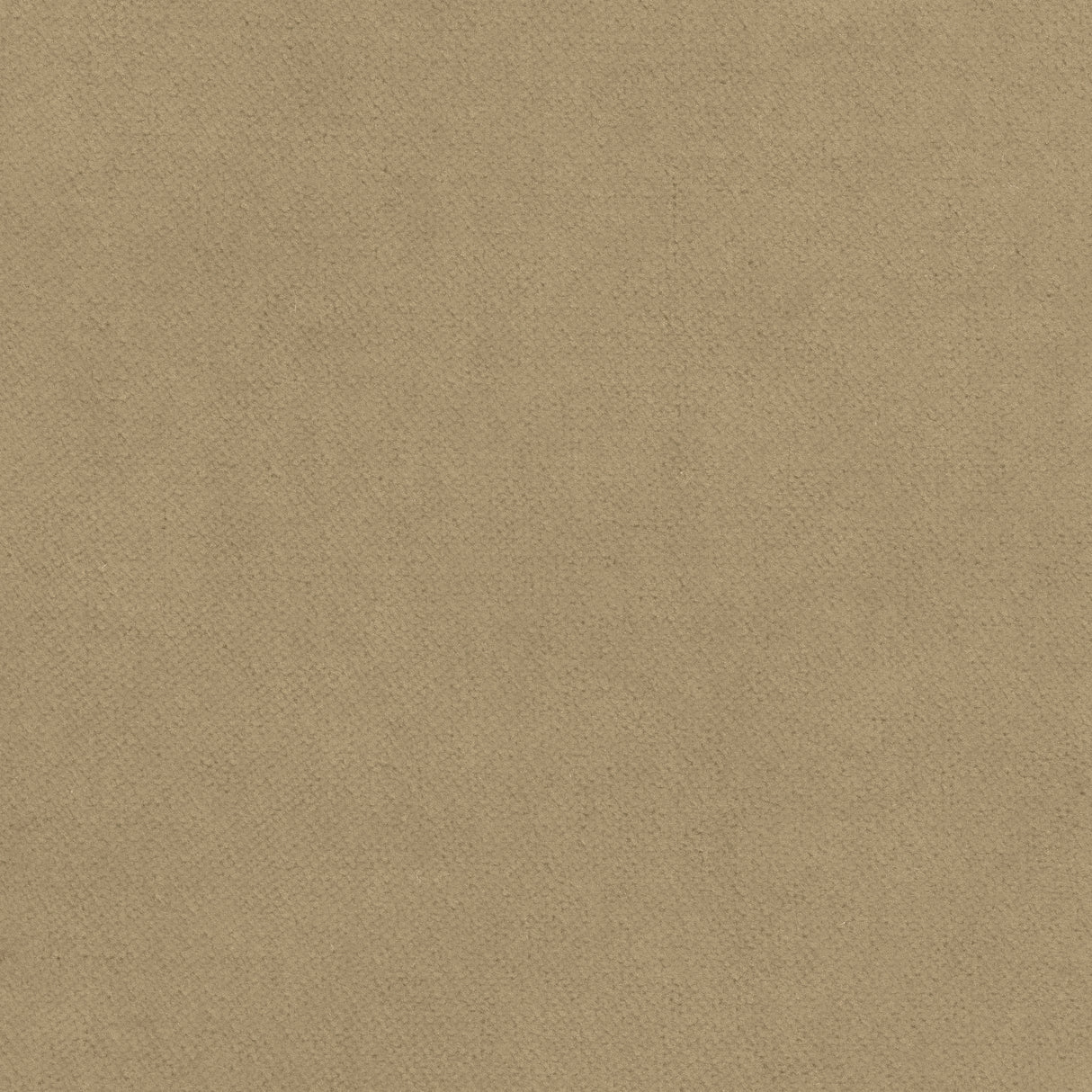 Thibaut W7224 CLUB VELVET Flax Fabric
