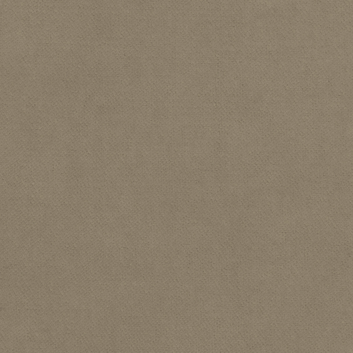 Thibaut W7225 CLUB VELVET Taupe Fabric