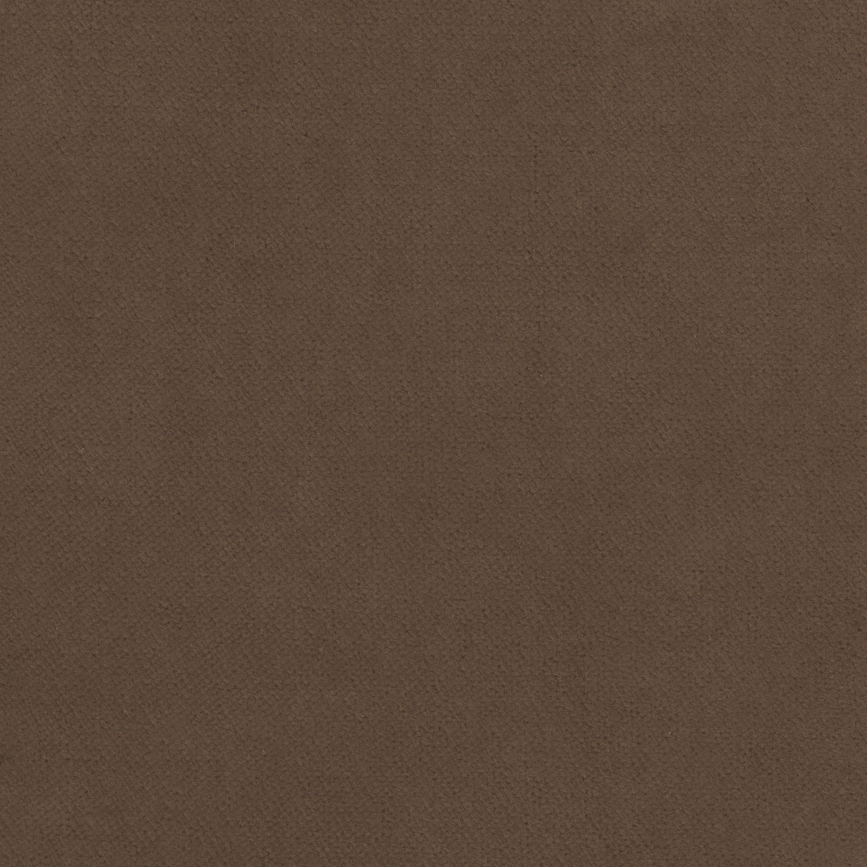 Thibaut W7226 CLUB VELVET Mink Fabric