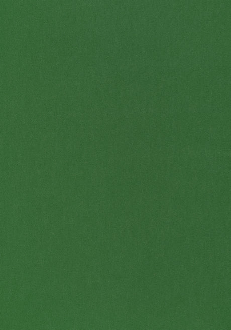 Thibaut W72821 MILES MOHAIR VELVET Emerald Fabric
