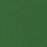 Thibaut W72821 MILES MOHAIR VELVET Emerald Fabric