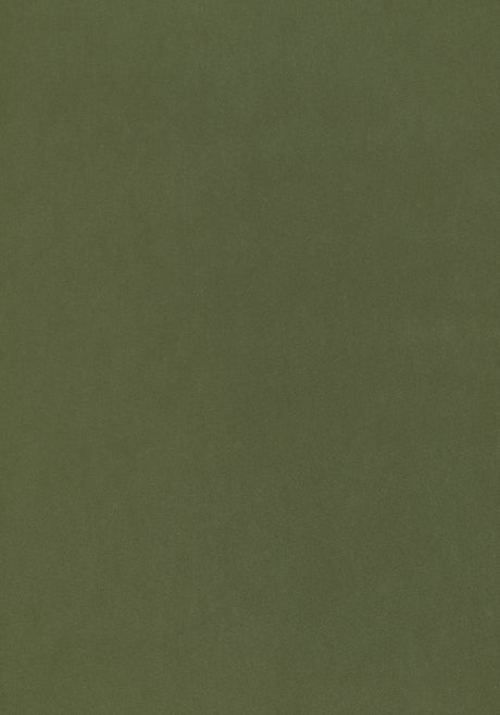 Thibaut W72822 MILES MOHAIR VELVET Ivy Fabric