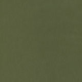 Thibaut W72822 MILES MOHAIR VELVET Ivy Fabric