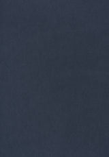 Thibaut W72823 MILES MOHAIR VELVET Navy Fabric