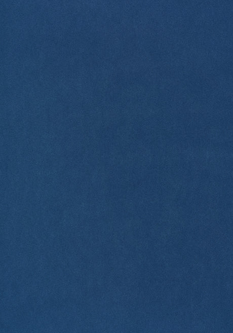 Thibaut W72824 MILES MOHAIR VELVET Sapphire Fabric