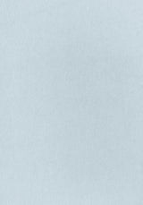 Thibaut W72827 MILES MOHAIR VELVET Cloud Fabric