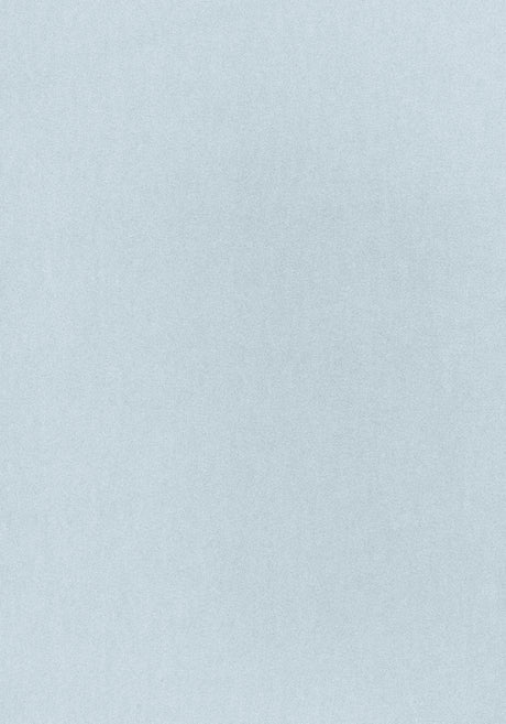 Thibaut W72827 MILES MOHAIR VELVET Cloud Fabric
