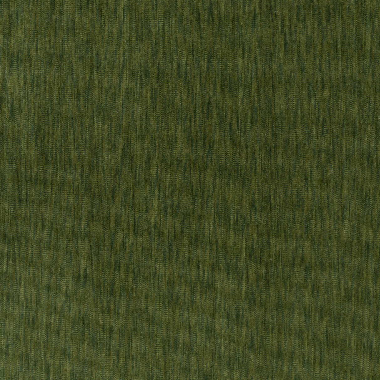 Thibaut W72829 RIFF VELVET Ivy Fabric