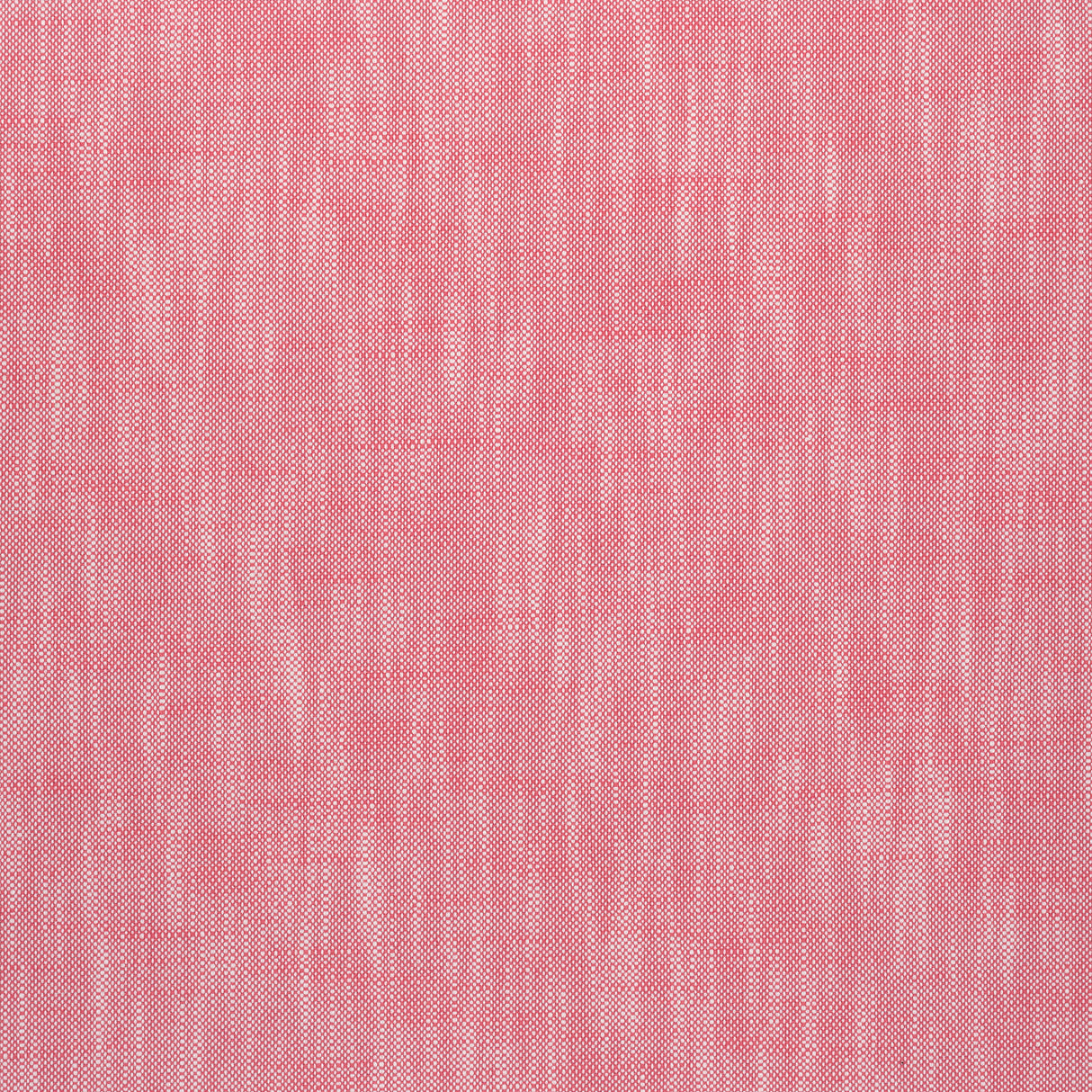 Thibaut W73406 BRISTOL Peony Fabric