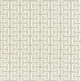 Thibaut W74227 RHODES Mink Fabric