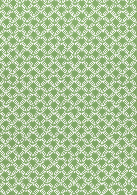 Thibaut W74637 MAISIE Kelly Green Fabric