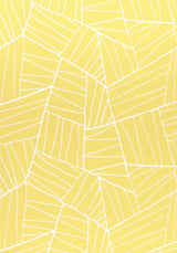 Thibaut W74651 JORDAN Sunshine Fabric