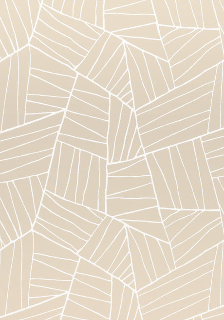 Thibaut W74662 JORDAN Sand Fabric