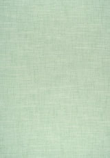 Thibaut W75209 AMBIENT Kelly Fabric