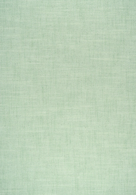 Thibaut W75209 AMBIENT Kelly Fabric