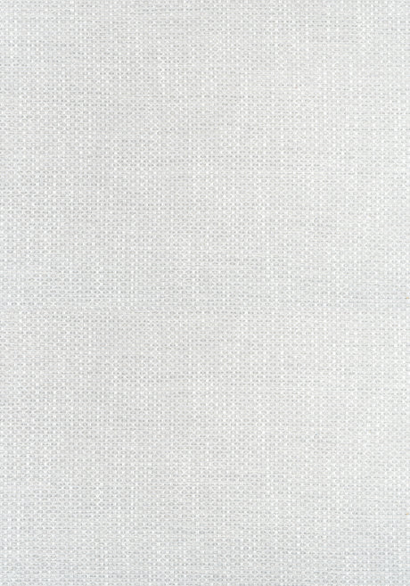 Thibaut W75259 CASCADE Platinum Fabric