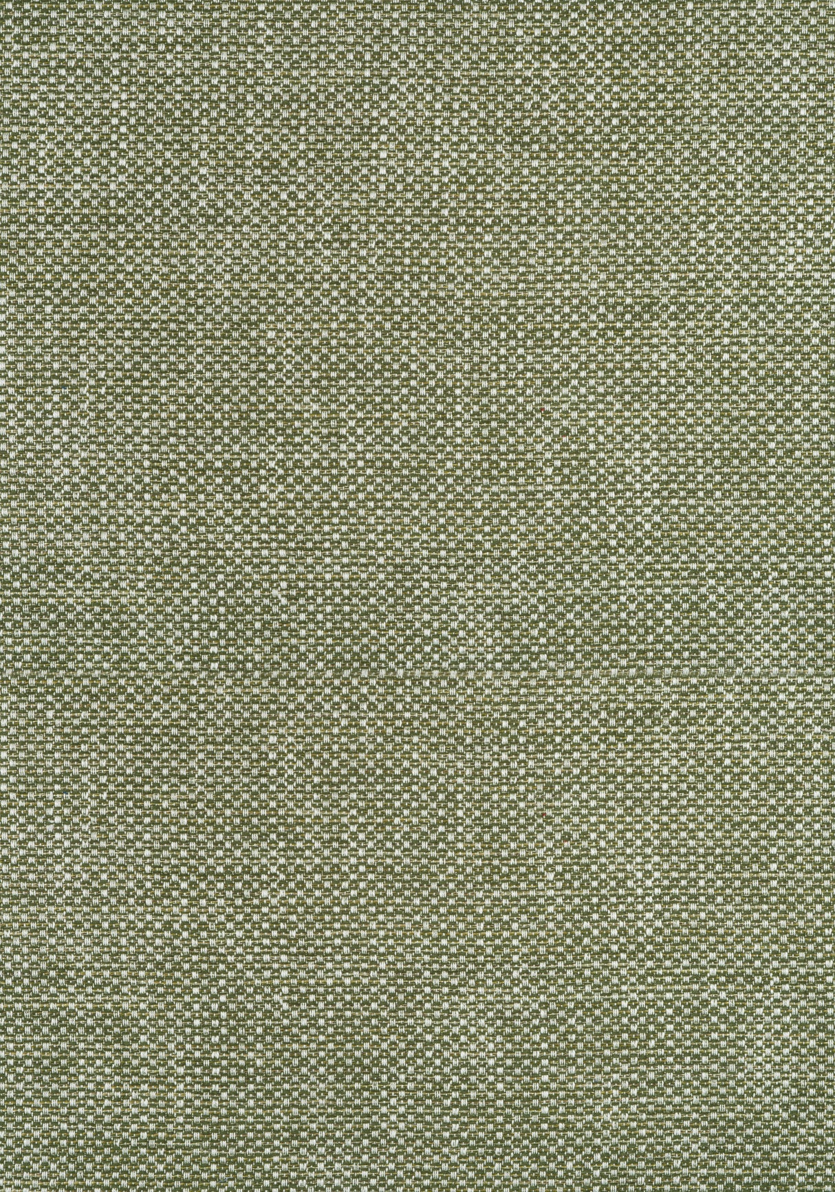 Thibaut W75263 CASCADE Ivy Fabric