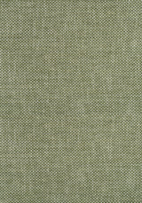 Thibaut W75263 CASCADE Ivy Fabric