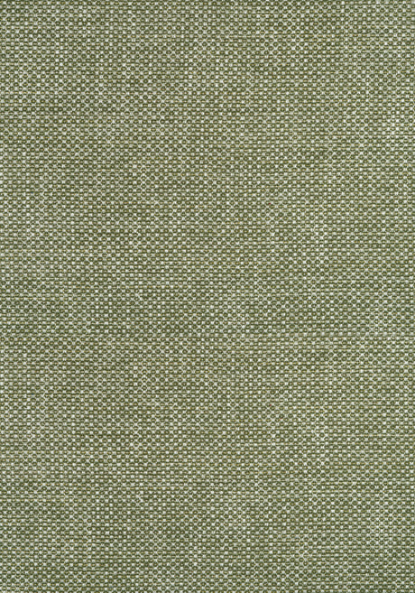 Thibaut W75263 CASCADE Ivy Fabric