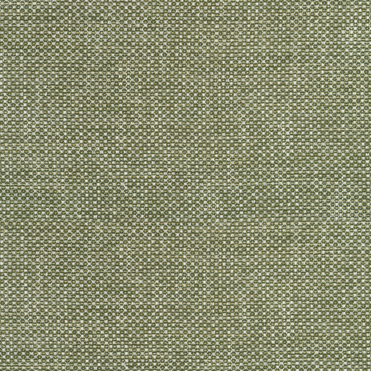Thibaut W75263 CASCADE Ivy Fabric