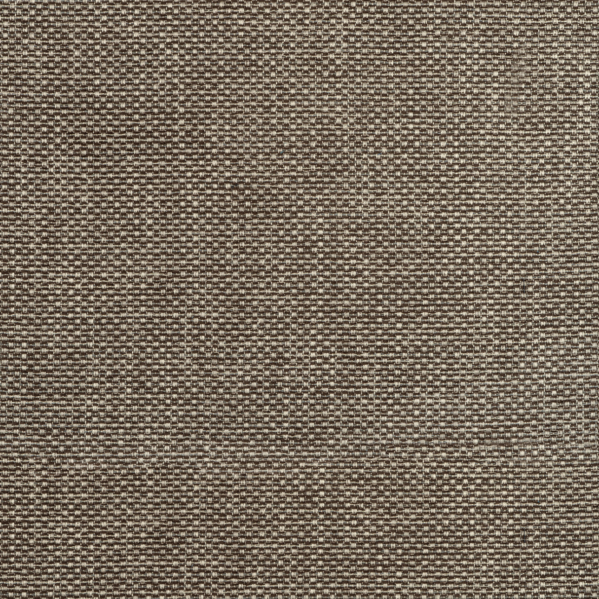 Thibaut W75268 CASCADE Espresso Fabric