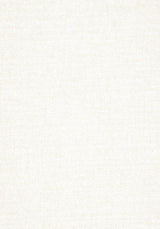 Thibaut W77101 SASSO Parchment Fabric