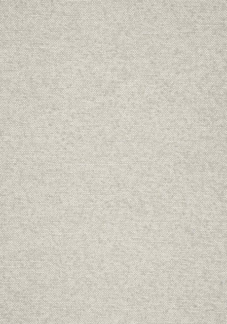 Thibaut W77103 SASSO Stone Fabric